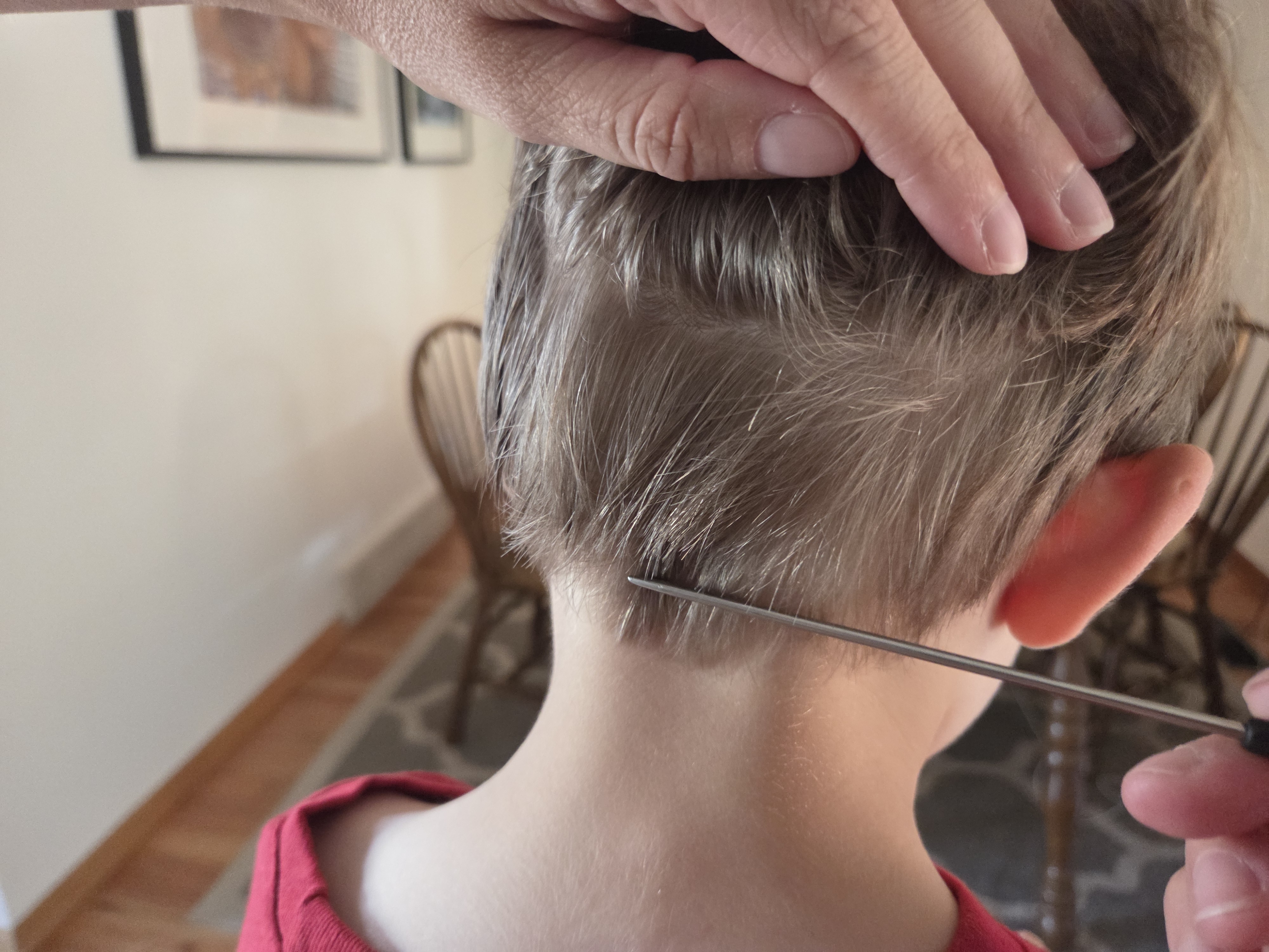 Lice treatment in progress