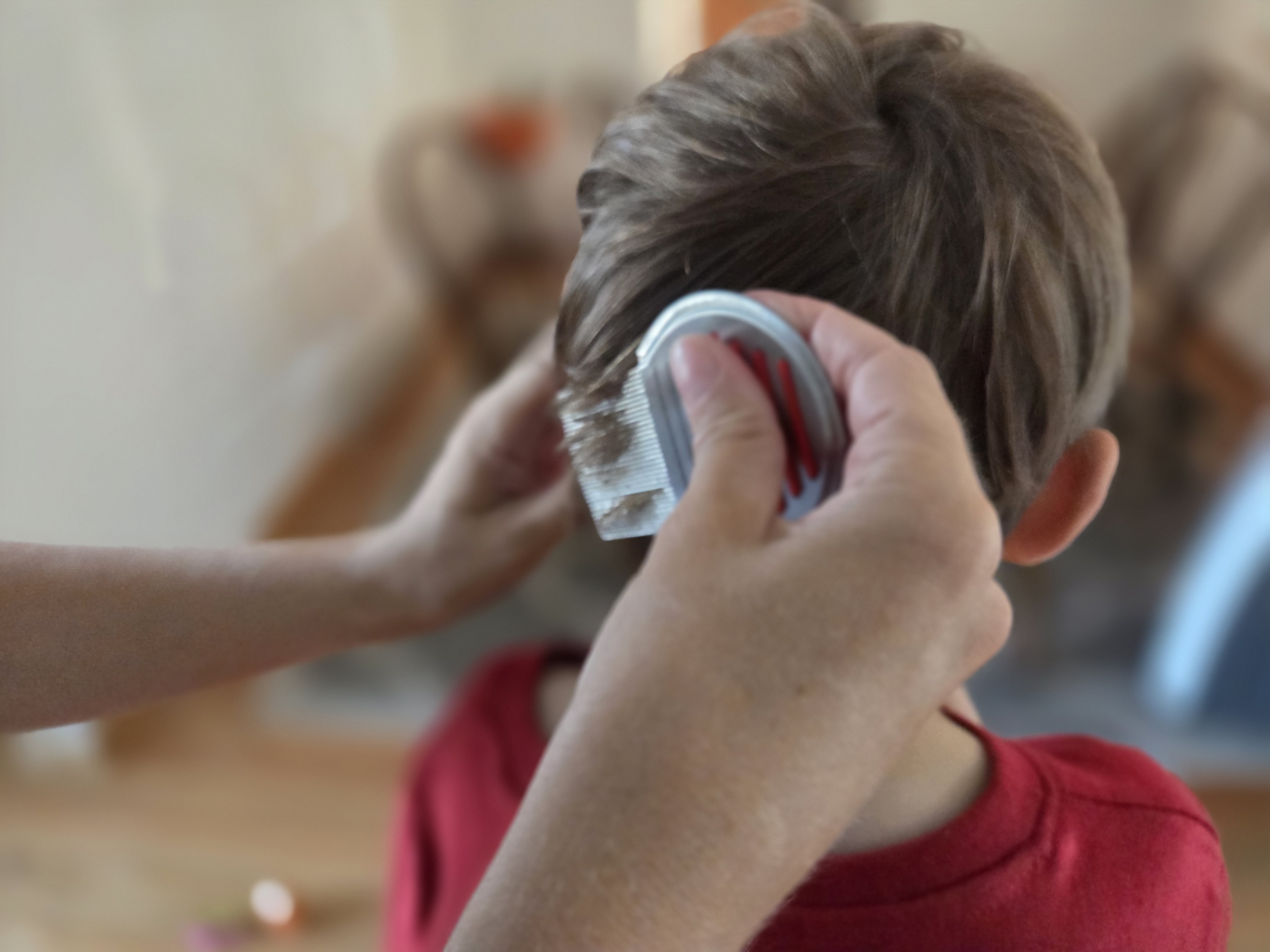 Lice treatment in progress